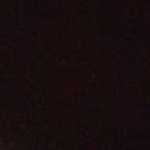 Meet your Posher, Ronny